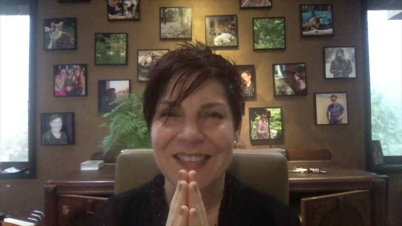 Get Centered - Meditations with Bronwen Logan