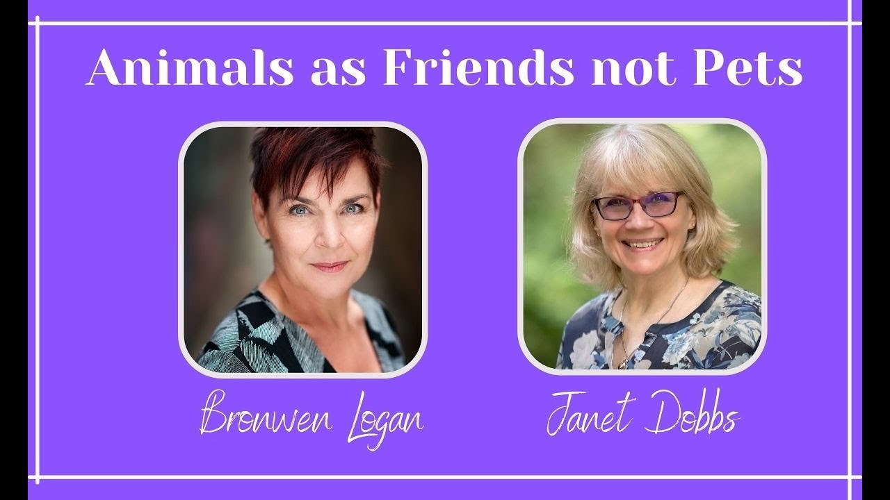 Pets or Animal Companions?