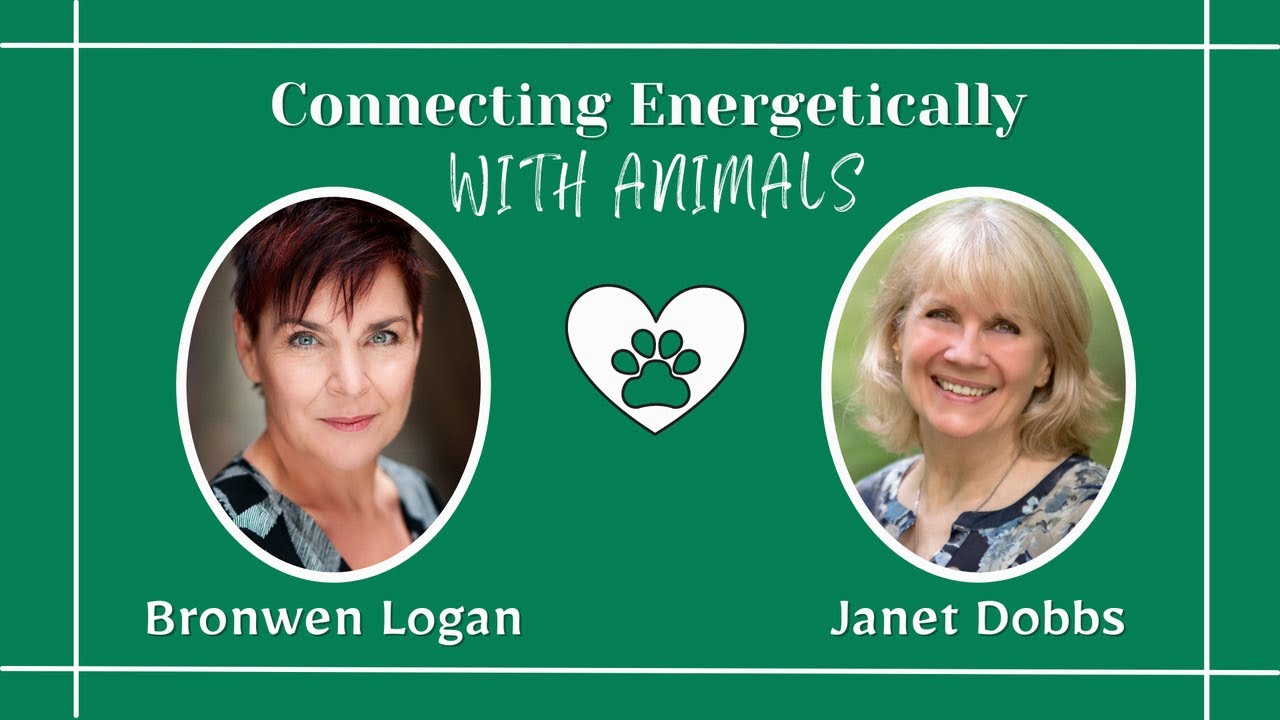Connecting Energetically with Animals