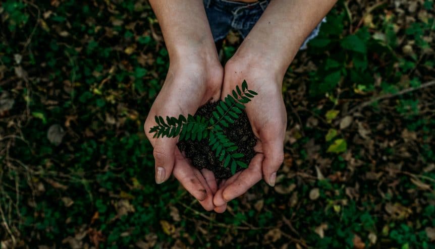 Hands holding plant and earth