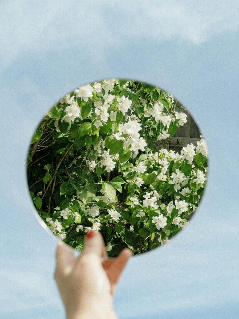 The Reiki Mirror 1 Kami