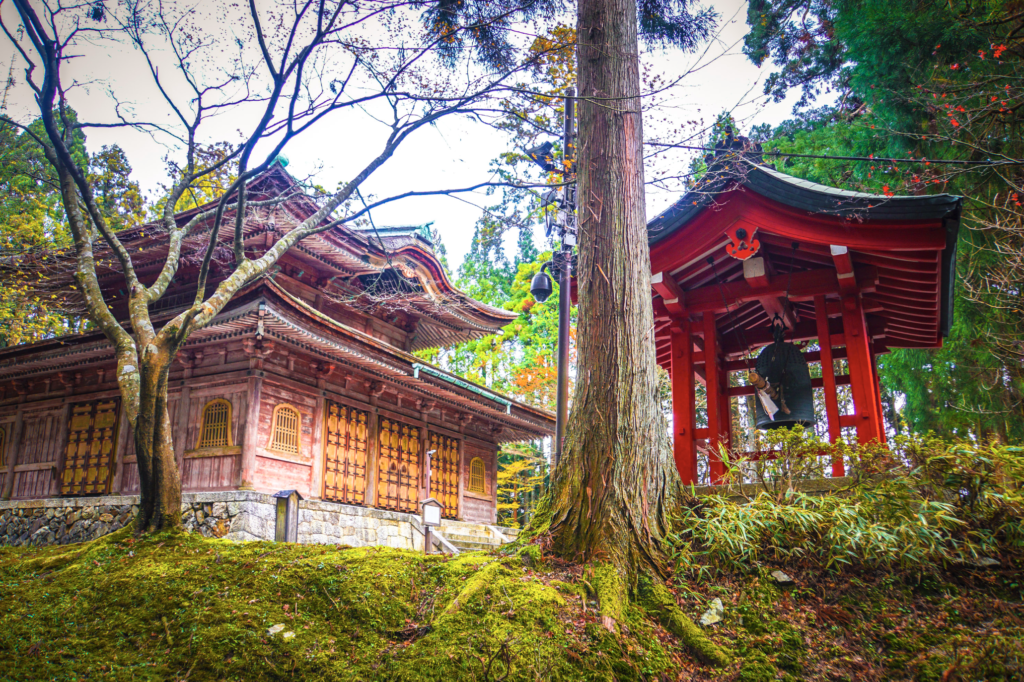 Mt Hiei 1