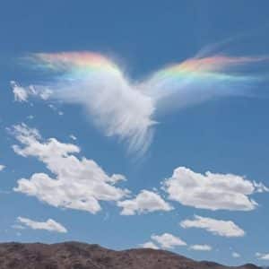 Rainbow Dove Cloud