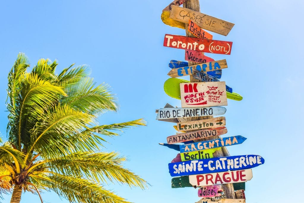 coconut tree beside wooden post filled with destinations