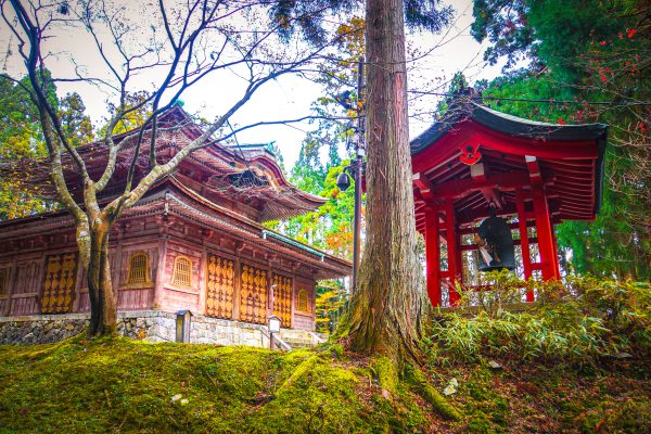 Full Payment for Reiki Play Day - Italy
