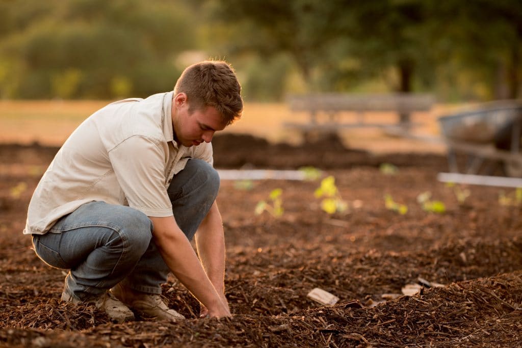 gardening preparation