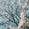 Webclass | The History of Reiki