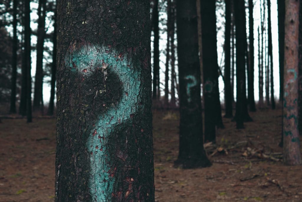 trees question marks