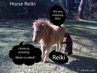 horsereiki