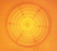 Max Ernst’s painting of a “sun”